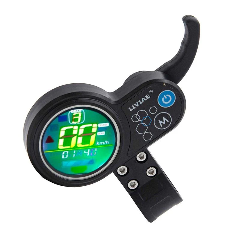 Miniatura 4