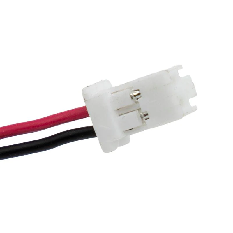 Miniatura 6