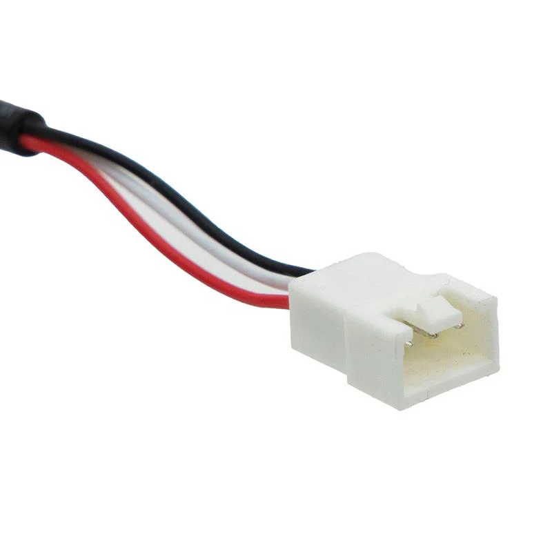 Miniatura 4