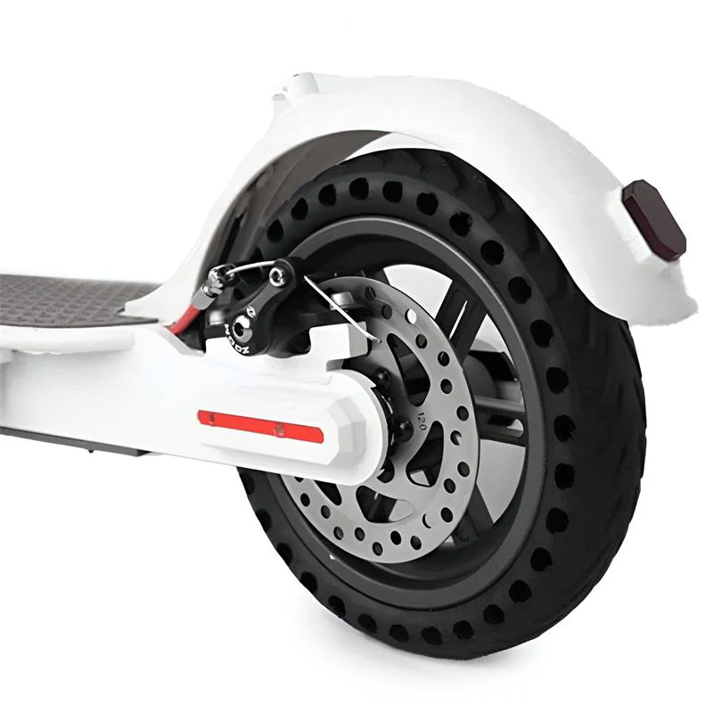 Miniatura 9